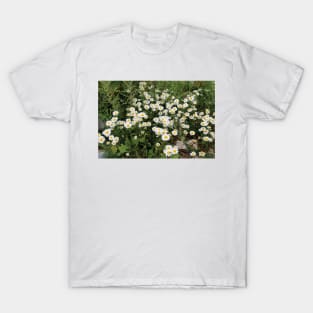 Field of Daisies T-Shirt